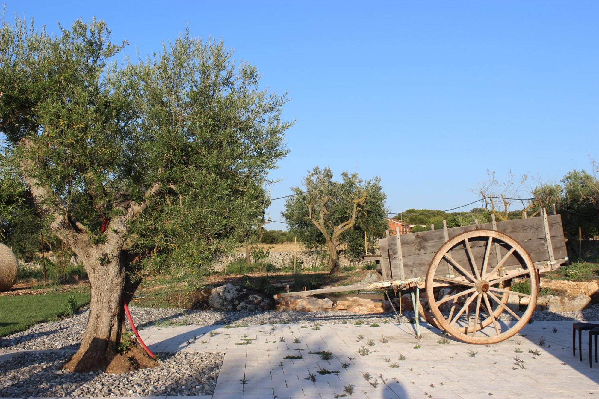 Masseria Stella Gioia Del Colle Exterior photo